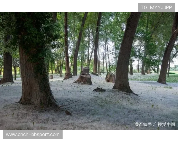 游戏中树木生长缓慢的原因解析及优化策略探讨 游戏中树木生长缓慢的原因解析及优化策略探讨